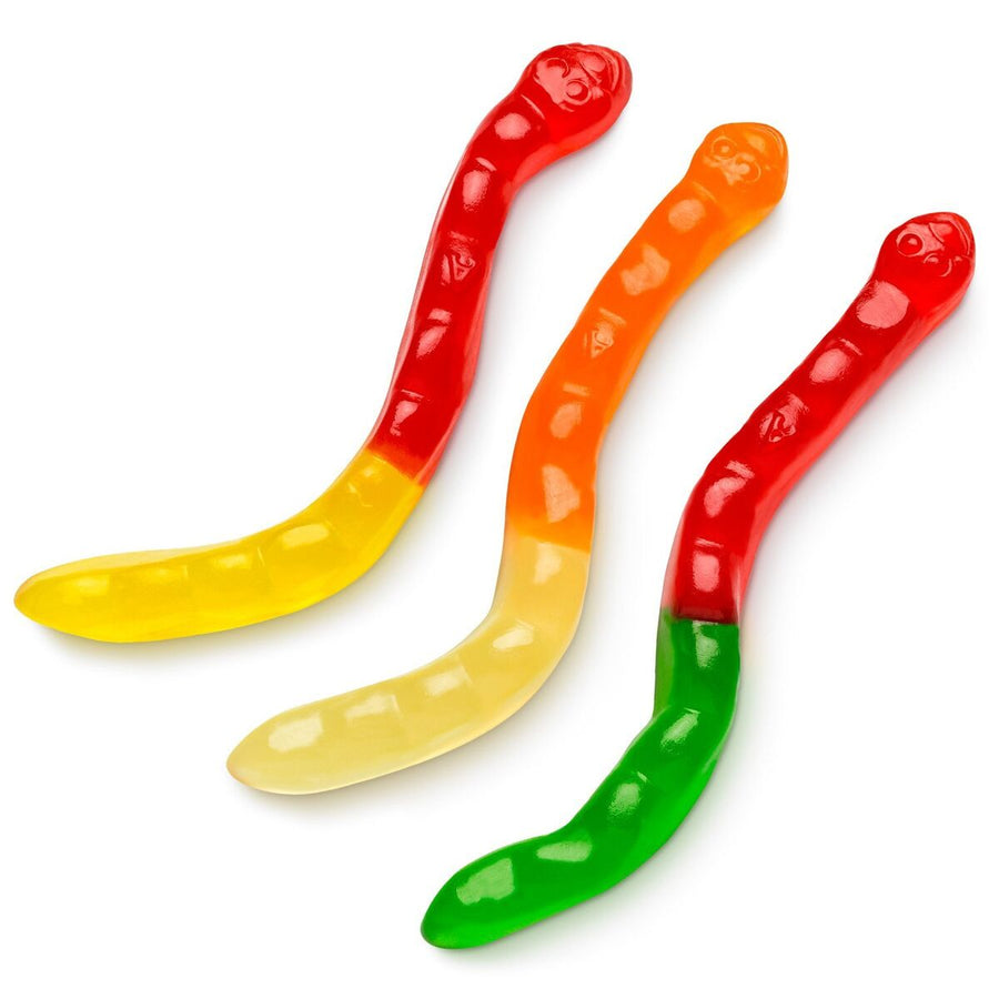 Albanese Bulk Large Assorted Gummi Worms 2.3 kg Exotic Bulk Candy Snaxies Montreal Quebec Canada